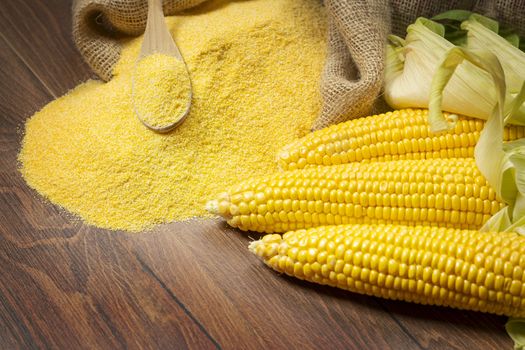 Ripe young sweet corn cob,on left stack cornmeal and spoon on top,wooden background, copy space.Gluten free food concept