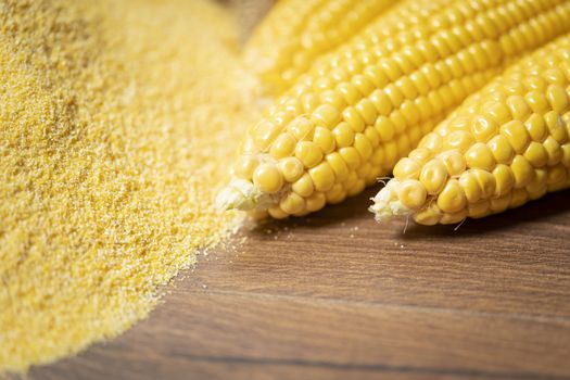 Ripe young sweet corn cob,on left stack cornmeal on wooden background, close up.Gluten free food concept