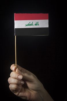 Hand with small flag of state of Iraq