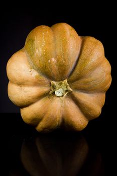 Ripe whole orange pumpkin on black background