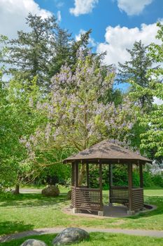 Snug cozy gazebo under blossoming trees on sunny summer day. Wooden gazebo in a garden on  blue sky background