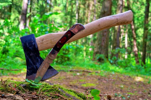 Axe or chopper with folding pocket knife with their blades stuck in a moss covered log of wood in a forest in a close up side view