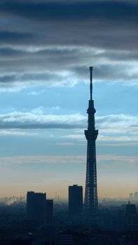 Tokyo Sky tree silhouette building and sunset with sky and clouds.