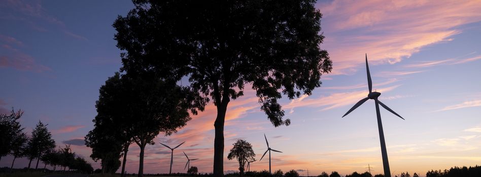 wind turbines and trees form silhouettes against colorful sunset in german eifel national park