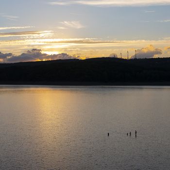 three people swim in calm lake rursee at sunset in German national park eifel with wind turbines in the background