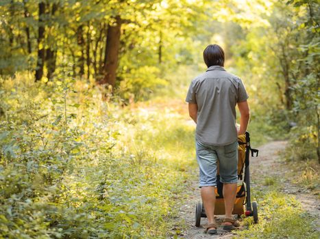 Man walks in park with child in stroller. Father with toddler. Autumn season. Yellow sunset light.