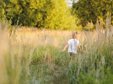 Cute little boy playing on field. Outdoor leisure activity for toddler. Autumn season. Orange sunset light.