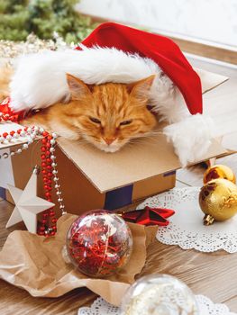 Cute ginger cat lies in box with Christmas and New Year decorations on wooden background. Fluffy pet with red Santa Claus hat. Fuzzy domestic animal during winter holiday preparation.