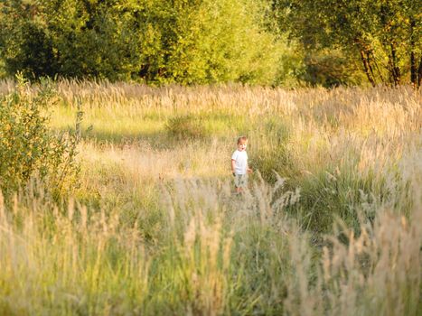 Cute little boy playing on field. Outdoor leisure activity for toddler. Autumn season. Orange sunset light.