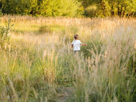 Cute little boy playing on field. Outdoor leisure activity for toddler. Autumn season. Orange sunset light.