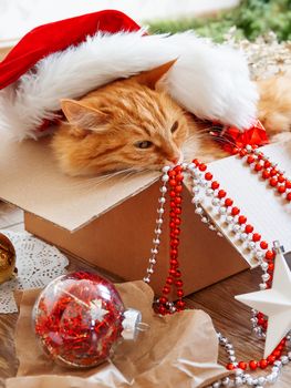 Cute ginger cat lies in box with Christmas and New Year decorations on wooden background. Fluffy pet with red Santa Claus hat. Fuzzy domestic animal during winter holiday preparation.