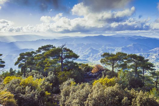 Pano Platres in Troodos mountains, Cyprus. Travel and tourism.