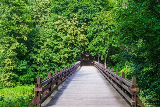 Old Wooden Bridge Over River in Deep Forest View