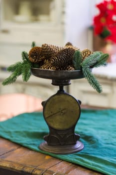 Stylish antique decor with pine cones. A handful of pine cones on an antique bronze scale.