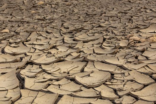 dry cracked mud desert like gray background, scorched earth with selective focus and blur