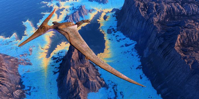 A single Pteranodon flies over coastal seas of North America during the Mesozoic Cretaceous Period.