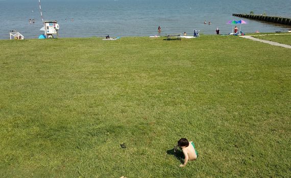 boy child sitting on green grass at beach