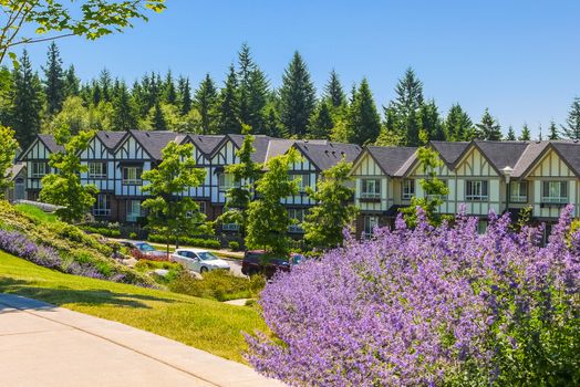 Street of new townhouses with cars parked in front. View at row of new townhomes on sunny day