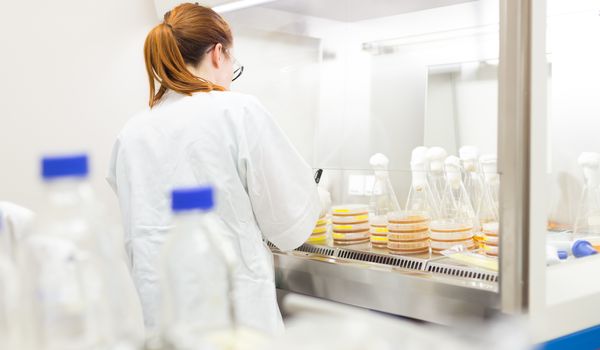 Female scientist working with laminar flow at corona virus vaccine development laboratory research facility. Corona virus pandemic concept. Development of virus treatment drug.