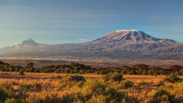 arid dry African savanna in late evening with Mount Kilimanjaro, highest peak i Africa. Amboseli National Park, Kenya