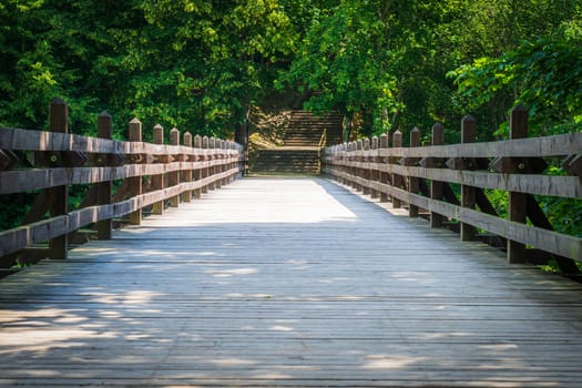 Old Wooden Bridge Over River in Deep Forest View