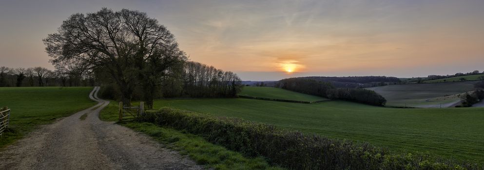 Panoramic view of landscape overlooking fields at sunset in The Chilterns, England
