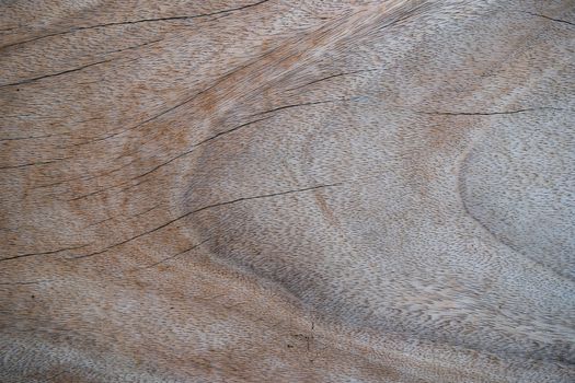 Surface of wooden texture with natural wood pattern.