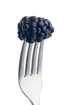 blackberry pierced on a fork against plain background