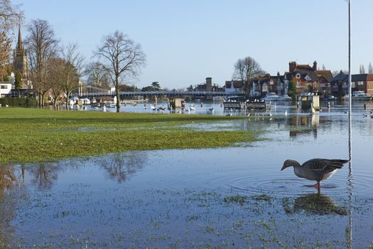 View of Marlow Bridge and flooded Thames river with circa 2014