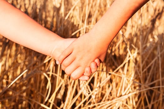 Children's hands holding together against golden wheat field background.