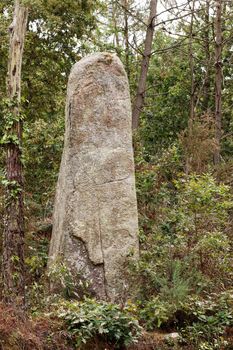 A lone menhir in a forest near Erdeven in Brittany, France