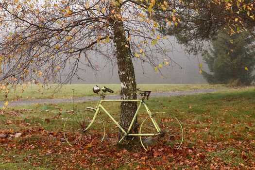 Abandoned old bicycle under autumn birch tree in a foggy day