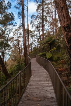 Fred Piper Memorial Lookout at the summit of Brown Mountain on Snowy Mountains Hwy in New South Wales, Australia