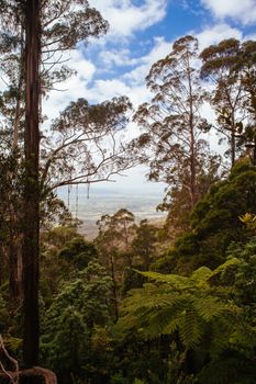 Fred Piper Memorial Lookout at the summit of Brown Mountain on Snowy Mountains Hwy in New South Wales, Australia