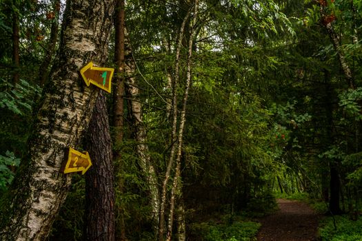 The beautiful nature reserve Wilhelmsdorf Pfrunger Ried in Upper Swabia near Ravensburg and Lake Constance