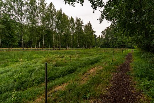 The beautiful nature reserve Wilhelmsdorf Pfrunger Ried in Upper Swabia near Ravensburg and Lake Constance