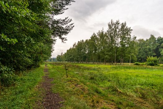 The beautiful nature reserve Wilhelmsdorf Pfrunger Ried in Upper Swabia near Ravensburg and Lake Constance