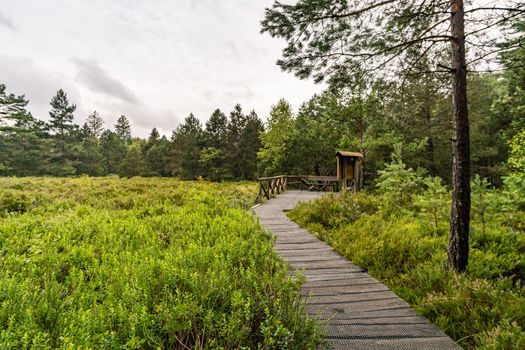 The beautiful nature reserve Wilhelmsdorf Pfrunger Ried in Upper Swabia near Ravensburg and Lake Constance