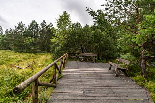 The beautiful nature reserve Wilhelmsdorf Pfrunger Ried in Upper Swabia near Ravensburg and Lake Constance