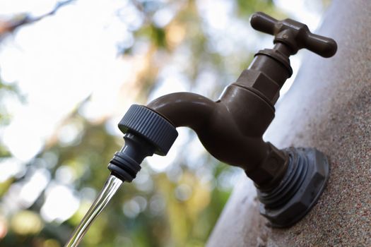 Clear water streaming from a rainwater reservoir tap in garden, Pretoria, South Africa