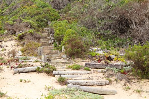 A coastal beach pathway staircase into the wilderness bushes, Plettenberg Bay, South Africa