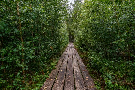 The beautiful nature reserve Wilhelmsdorf Pfrunger Ried in Upper Swabia near Ravensburg and Lake Constance