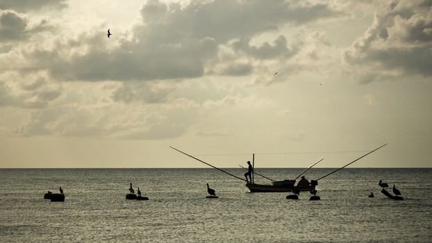 Silhouettes of fisherman on small fishing boat, with neotropic cormorant sitting on nearby rocks, photographed in strong back light. Progresso, Mexico