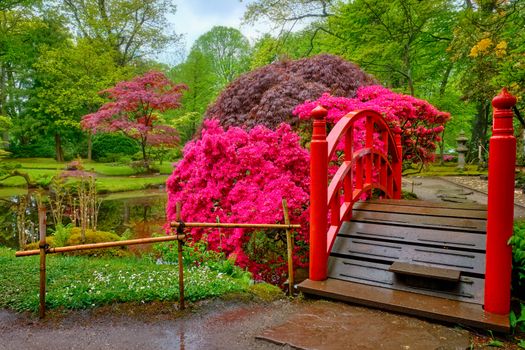 Small bridge in Japanese garden, Park Clingendael, The Hague, Netherlands