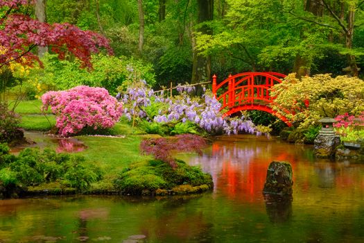 Small bridge in Japanese garden, Park Clingendael, The Hague, Netherlands