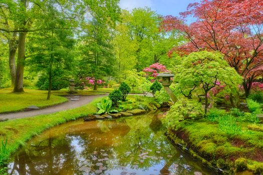 Little Japanese garden after rain, Park Clingendael, The Hague, Netherlands