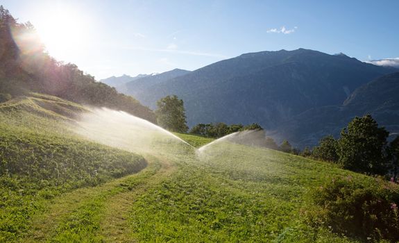 Sprinkler watering a lawn in Switserland, summertime