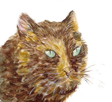 Portrait of tortie cat with green eyes. Pet head on white background. Hand drawn watercolour illustration.