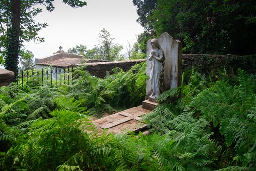 Grave with a statue of Maria on it surrounded completely with ferns in summertime on the isle of Corsica in France. The roof of a tombhouse is seen in background