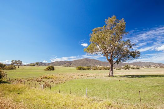 Classic Australian landscape in Allans Flat, near Yackandandah in Victoria Australia